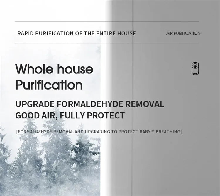 The New AuraFlow Air Purifier